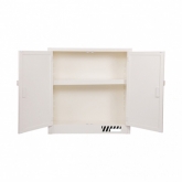 强腐蚀性化学品储存柜 30加仑