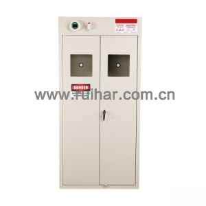 钢制智能气瓶柜（两瓶）