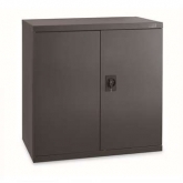 双开门层板式置物柜